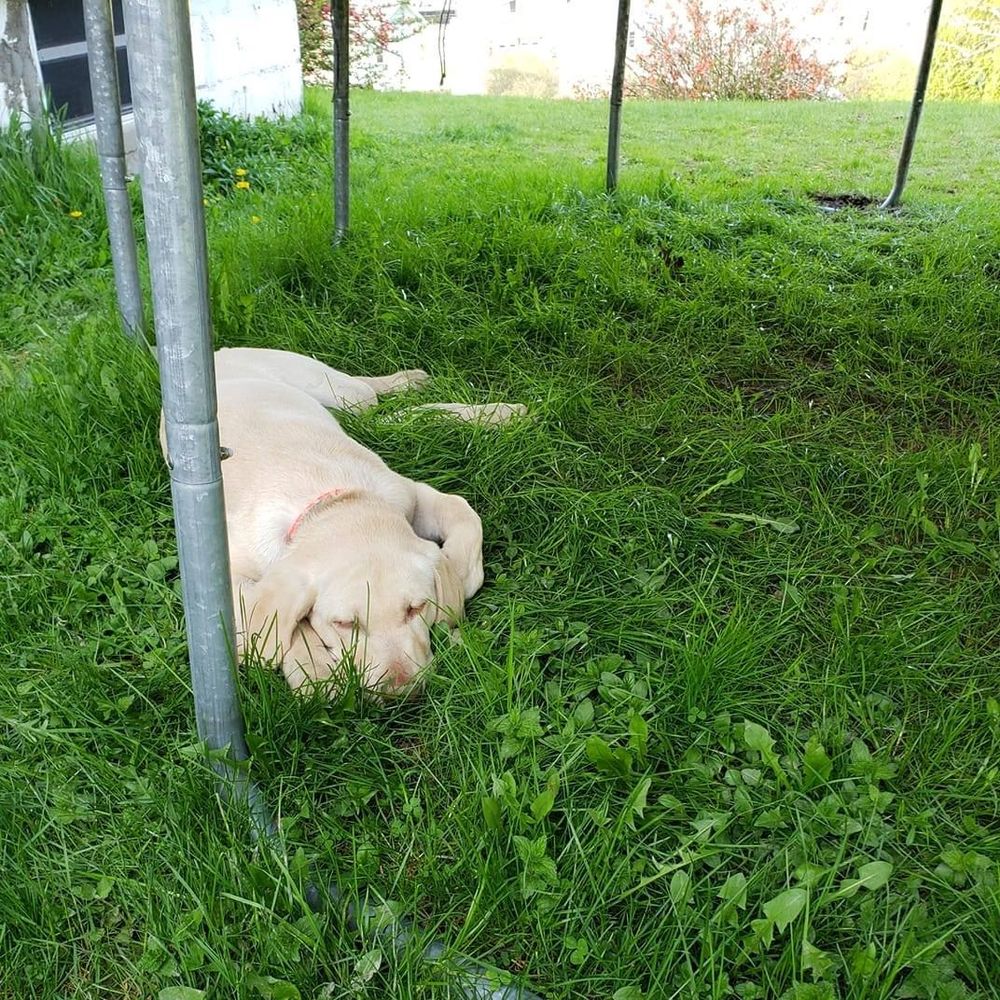 Meet your Posher, Sara